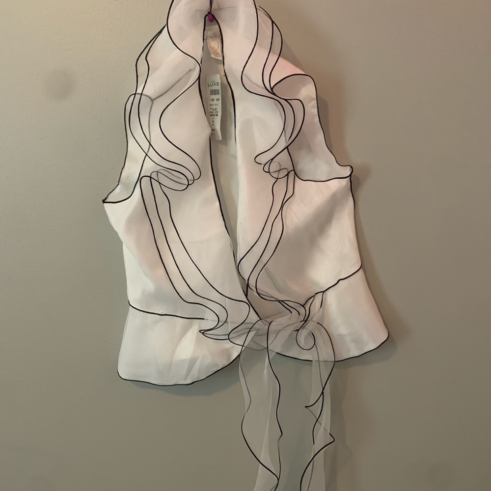 Sheer Blouse